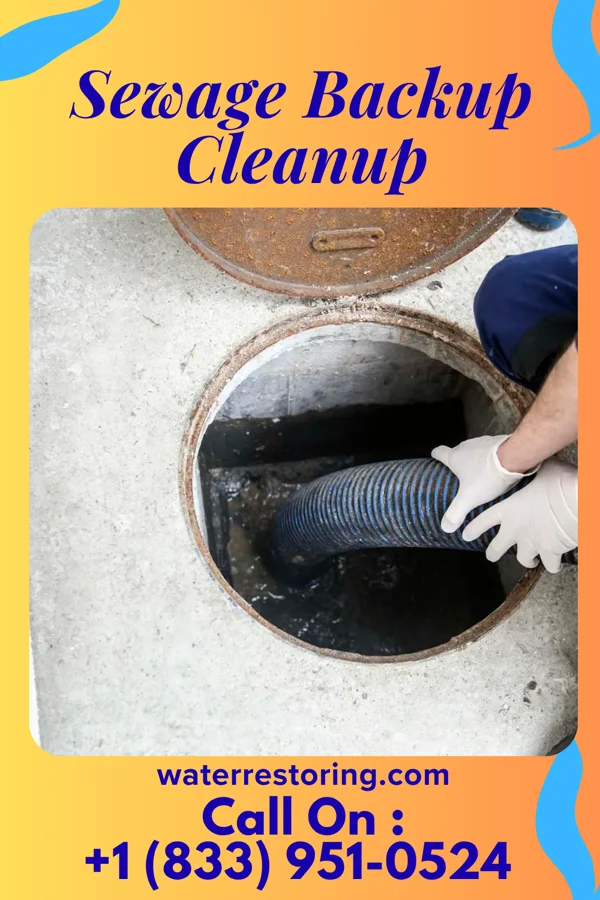 Sewage Backup Cleanup in Gayle Mill, SC